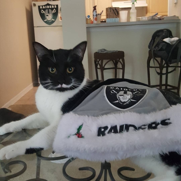 raidercat1966